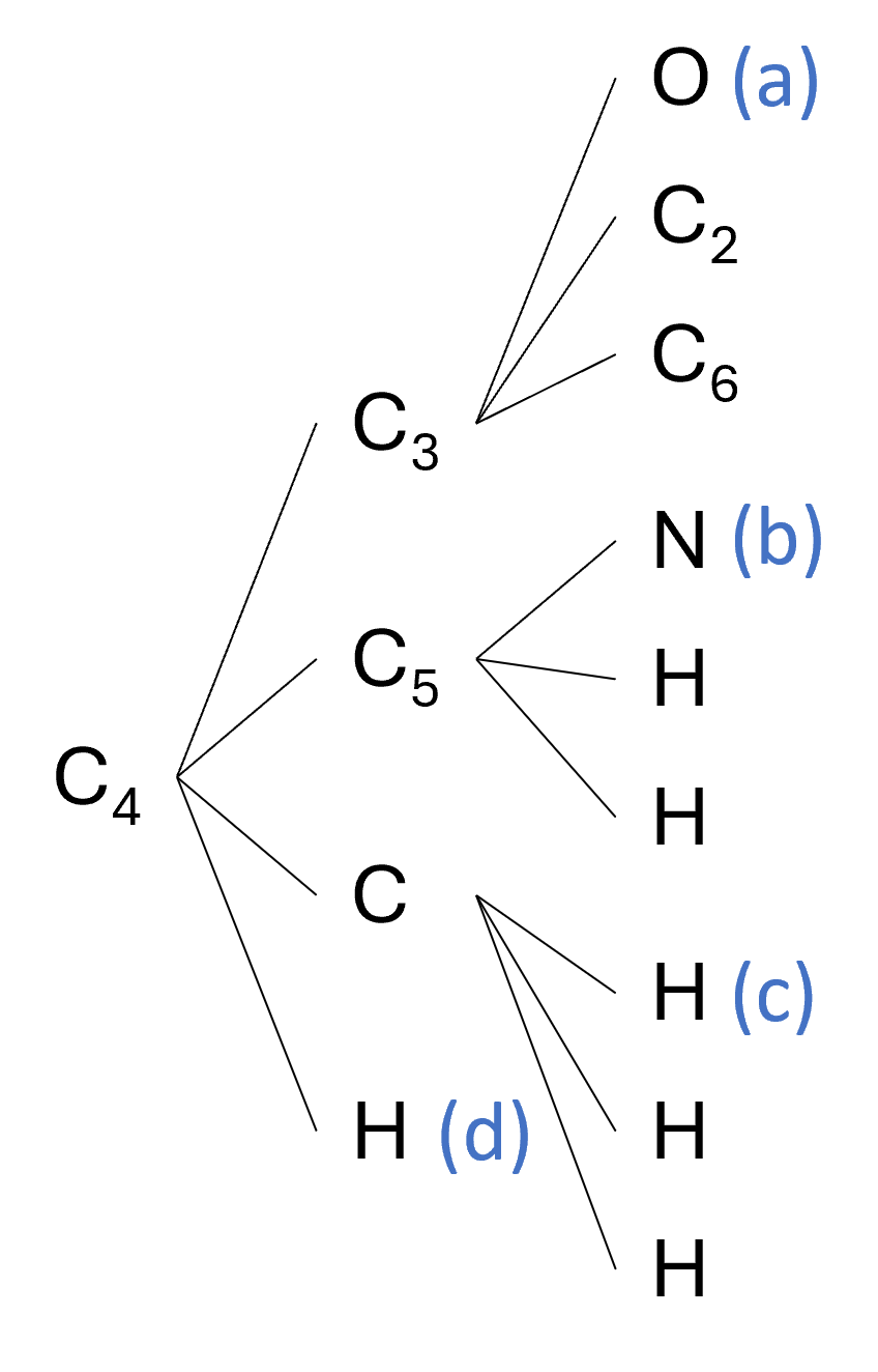 arborescence_levopropoxyphene_C4