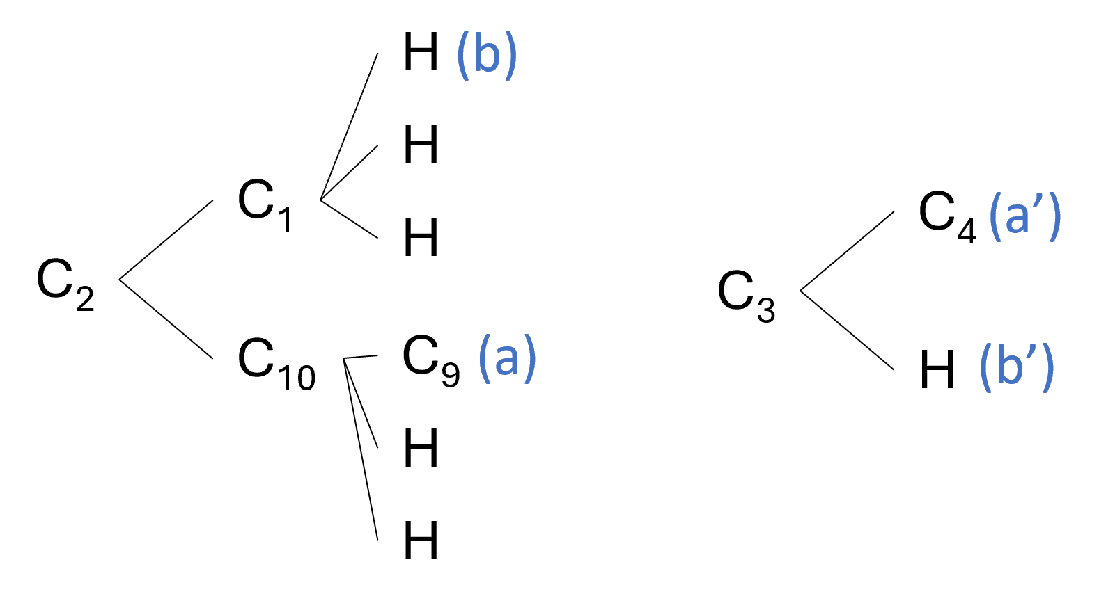arborescence_limonene