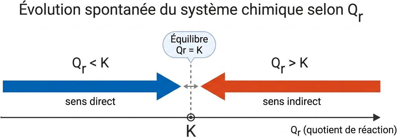 T1_evolution_spontanee